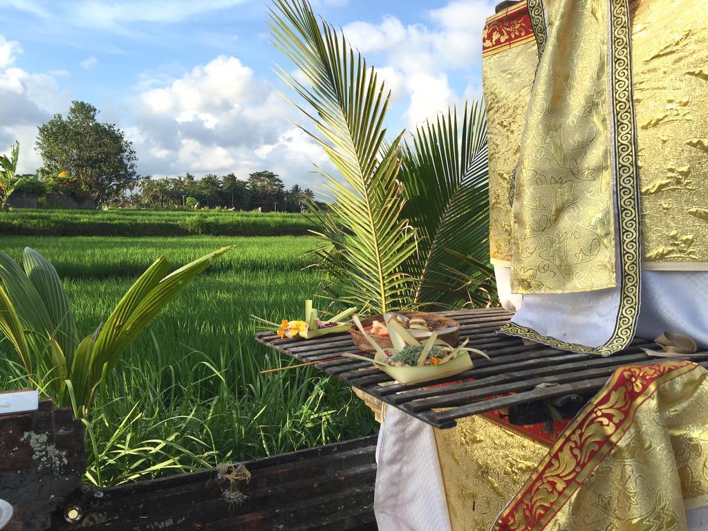 Suly Vegetarian Resort & Spa Ubud Kültér fotó